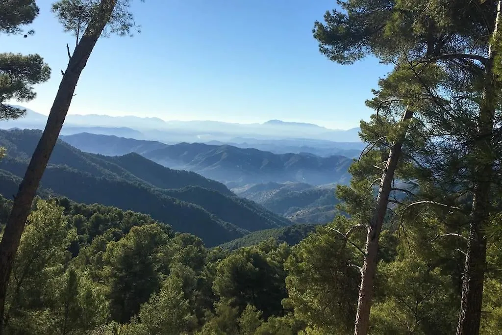 Casa Cactus In The Heart Of The Montes De Malaga Villa